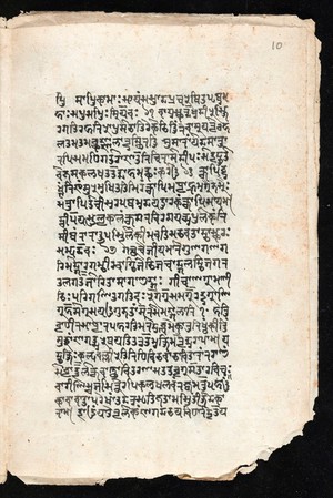 view Sanskrit manuscript 1219.