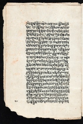 Sanskrit manuscript 1219.