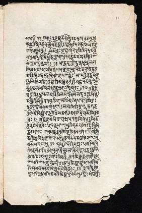 Sanskrit manuscript 1219.