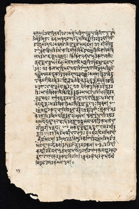 Sanskrit manuscript 1219.