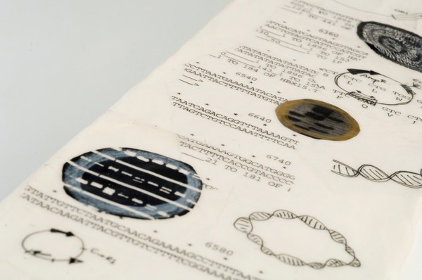 A mirror in which the surrounding world is copied by reflection, framed with formulae associated with the cloning of biological organisms. Mixed media by Sophie Dauvois, 1998.