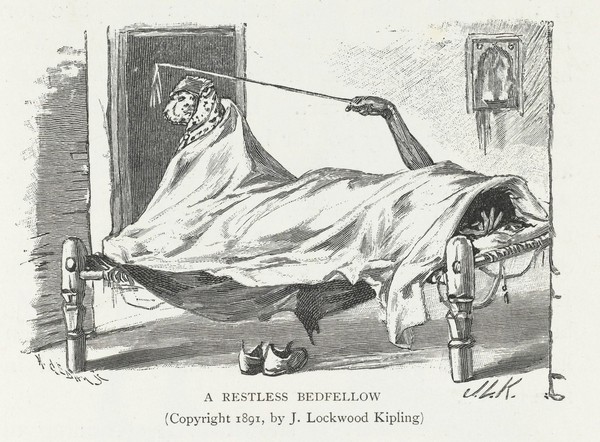 Beast and man in India : a popular sketch of Indian animals in their relations with the people / by John Lockwood Kipling.