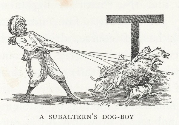 Beast and man in India : a popular sketch of Indian animals in their relations with the people / by John Lockwood Kipling.