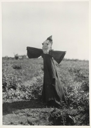 view Bani Suef, Egypt: a scarecrow near Biba, warding off the evil eye. Photograph by W.S. Blackman, 192-.