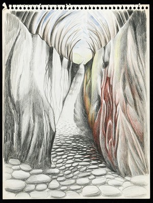 view The dream of a patient in Jungian analysis: a stony road through a ravine, with dead arched trees above and fields in the distance. Drawing by M.A.C.T., 197-.