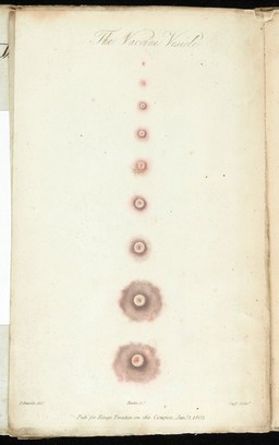 A treatise on the cow-pox; containing the history of vaccine inoculation, and an account of the various publications which have appeared on that subject. In Great Britain, and other parts of the world / by John Ring.