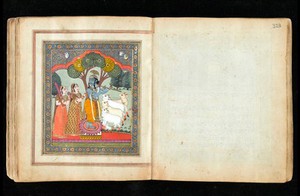 view Panjabi Manuscript 255