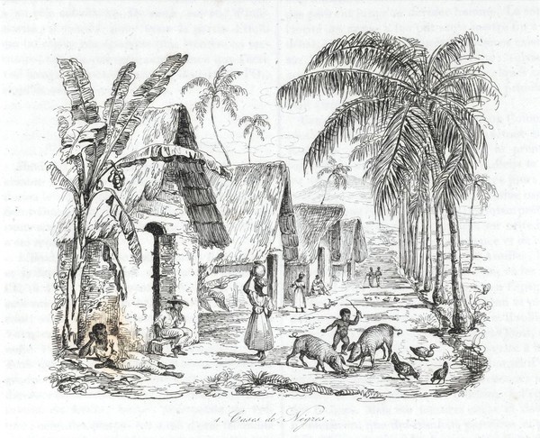 Voyage pittoresque dans les deux Amériques. Résumé général de tous les voyages de Colomb, Las-Casas, Oviedo ... Humboldt ... Franklin ... etc / par les rédacteurs du Voyage pittoresque autour du monde; publié sous la direction de M. Alcide d'Orbigny ... Accompagné de cartes et de nombreuses gravures ... d'après les dessins de MM. de Sainson ... et Jules Boilly.