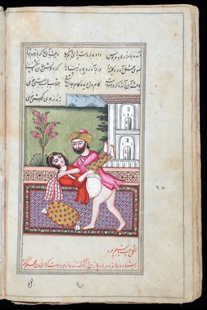 view Persian couple copulating