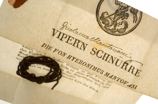 Vipern Schnurre.