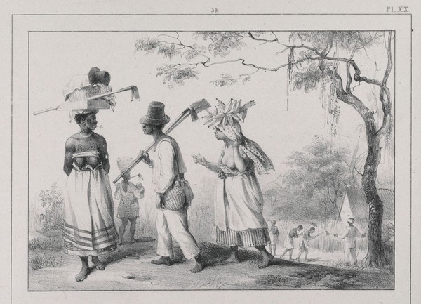 Voyage à Surinam. Description des possessions néerlandaises dans la Guyane / Par P.J. Benoit. Cent dessins pris sur nature par l'auteur, lithographiés par Madou et Lauters.