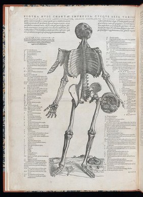 Andreae Vesalii Suorum de humani corporis fabrica librorum epitome / [Andreas Vesalius].