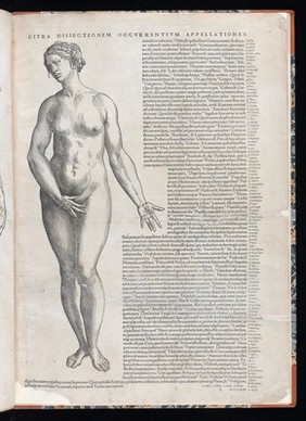 Andreae Vesalii Suorum de humani corporis fabrica librorum epitome / [Andreas Vesalius].