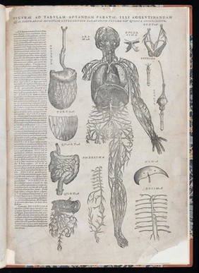 Andreae Vesalii Suorum de humani corporis fabrica librorum epitome / [Andreas Vesalius].