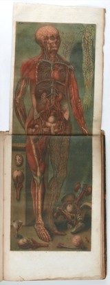 Anatomie des parties de la génération de l'homme et de la femme ... jointe a l'angéologie de tout le corps humain, e a ce qui concerne la grossesse et les accouchemens / [Jacques Fabien Gautier d'Agoty].