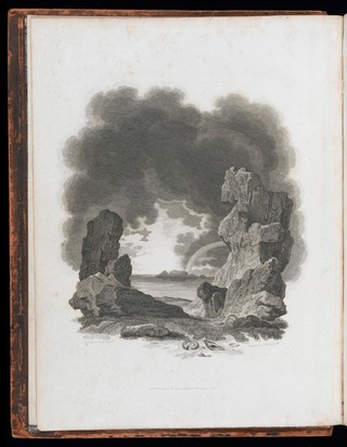 Organic remains of a former world. An examination of the mineralized remains of the vegetables and animals of the antediluvian world; generally termed extraneous fossils / [James Parkinson].