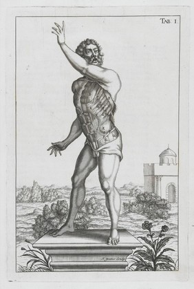 A compleat treatise of the muscles : as they appear in humane body, and arise in dissection; with diverse anatomical observations not yet discover'd. Illustrated by near fourty copper-plates, accurately delineated and engraven / By John Browne.