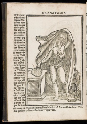 Anatomia Carpi Isagoge breves perlucide ac uberime, in anatomiam humani corporis / [Jacopo Berengario da Carpi].