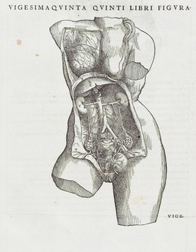 Andreae Vesalii Bruxellensis, scholae medicorum Patauinae professoris De humani corporis fabrica libri septem.