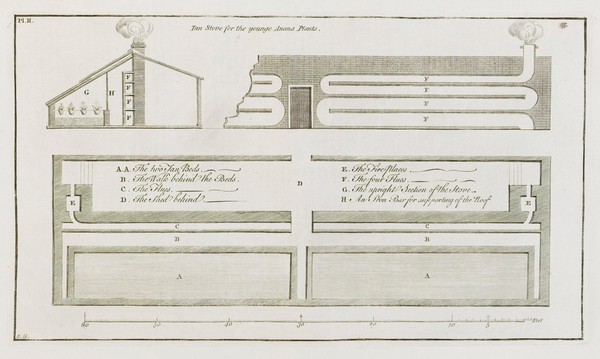 The gardener's dictionary ... wherein all the articles contained in the former editions ... in two volumes, are disposed in one alphabet / [Philip Miller].