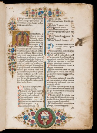 Opera medica / [Antonius Guainerius].