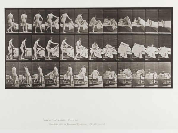 A woman getting into a bed. Collotype after Eadweard Muybridge, 1887.