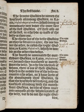 The birth of mankynde : otherwyse named the womans booke. / Newly set forth, corrected, and augmented. Whose contentes ye may reade in the table of the booke, and most playnely in the prologue. By Thomas Raynalde phisition.