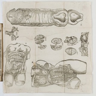 The birth of mankynde : otherwyse named the womans booke. / Newly set forth, corrected, and augmented. Whose contentes ye may reade in the table of the booke, and most playnely in the prologue. By Thomas Raynalde phisition.