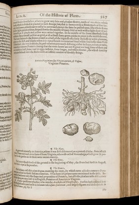 The herball, or general historie of plantes / Gathered by John Gerarde ... Very much enlarged and amended by Thomas Johnson.