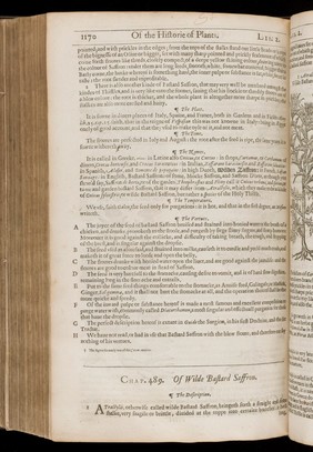 The herball, or general historie of plantes / Gathered by John Gerarde ... Very much enlarged and amended by Thomas Johnson.