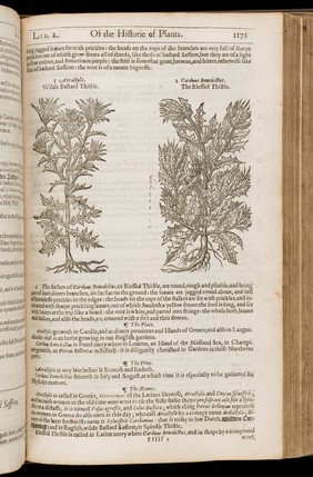 The herball, or general historie of plantes / Gathered by John Gerarde ... Very much enlarged and amended by Thomas Johnson.