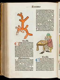 Ortus sanitatis.