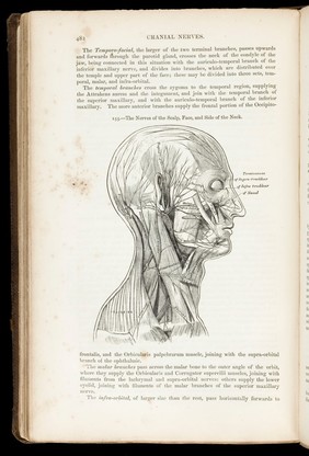 Anatomy, descriptive and surgical / by Henry Gray ; the drawings by H.V. Carter ; the dissections jointly by the author and Dr.Carter.