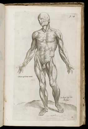 Librorvm Andreae Vesalii ... de hvmani corporis fabrica epitome / cum annotationibus Nicolai Fontani.