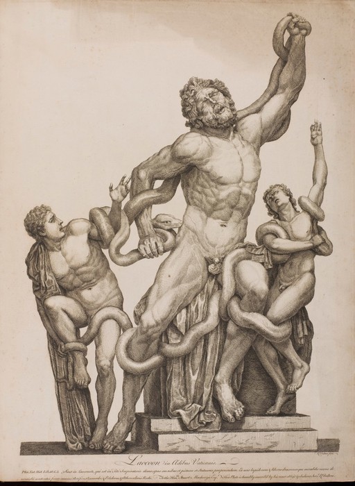 Laocöon and his sons, attacked by sea snakes. Etching R.
