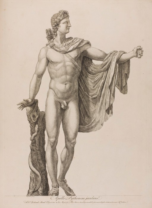 The Apollo Belvedere. Etching by R. Dalton, 174-