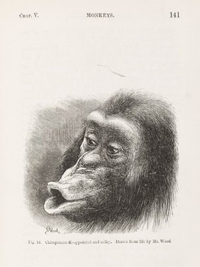 The expression of the emotions in man and animals / by Charles Darwin.