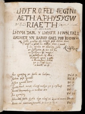 Lhyfr o fedheginiaeth a physygwriaeth [Book of remedies and medicine]