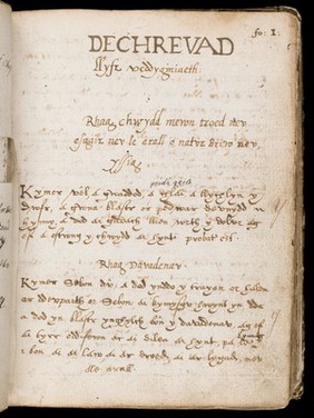 Lhyfr o fedheginiaeth a physygwriaeth [Book of remedies and medicine]