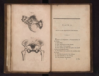 A collection of engravings designed to facilitate the study of midwifery, explained and illustrated / [James Hamilton].