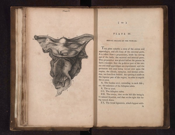 A collection of engravings designed to facilitate the study of midwifery, explained and illustrated / [James Hamilton].