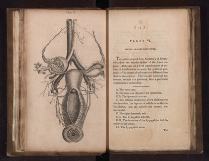 A collection of engravings designed to facilitate the study of midwifery, explained and illustrated / [James Hamilton].