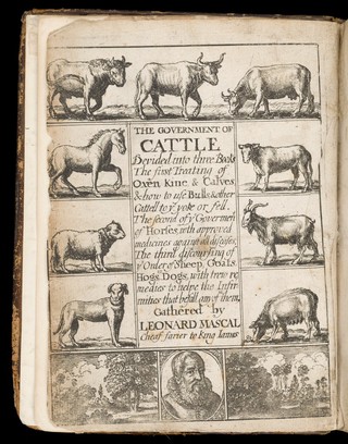 The government of cattel. Divided into three books. The first, treating of oxen, kine and calves: and how to use bulls, and other cattel, to the yoke or fell. The second, discoursing of the government of horses; with approved medicines against most diseases. The third, discoursing the order of sheep, goats, hogs, and dogs; with true remedies to help the infirmities that befall any of them ... Also, perfect instructions for taking of moals; and likewise for the monthly husbanding of grounds / Gathered by Leonard Mascal.
