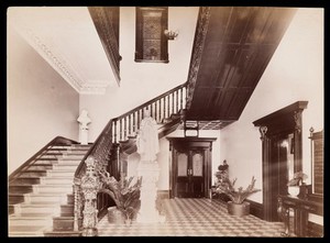 view Saint Vincent's Hospital, Sydney: interior. Photograph, 188-.
