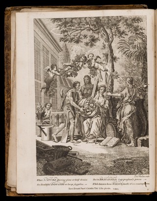 The gardeners dictionary. Containing the best and newest methods of cultivating and improving the kitchen, fruit, flower garden, and nursery, as also for performing the practical parts of agriculture ... together with directions for propagating and improving from real practice and experience, all sorts of timber trees / by Philip Miller.