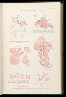 Protoplasm, or, Life, matter and mind / by Lionel S. Beale.