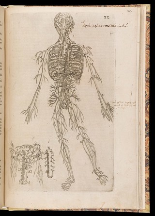 De corporis humani structura et usu libri III. Tabulis methodice explicati, iconibus accurate illustrati / [Felix Platter].