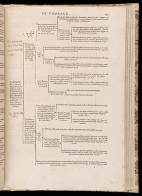 De corporis humani structura et usu libri III. Tabulis methodice explicati, iconibus accurate illustrati / [Felix Platter].