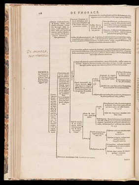 De corporis humani structura et usu libri III. Tabulis methodice explicati, iconibus accurate illustrati / [Felix Platter].