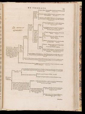 De corporis humani structura et usu libri III. Tabulis methodice explicati, iconibus accurate illustrati / [Felix Platter].